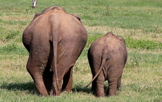 Bandscheibenprobleme sollte man nicht auf die leichte Schulter nehmen!